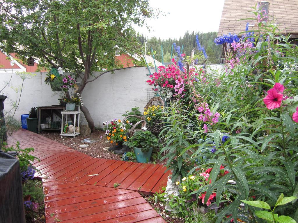 Casey'S Bed & Breakfast Whitehorse Habitación foto